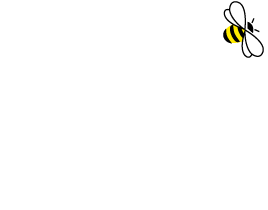 bee