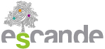 logo escande